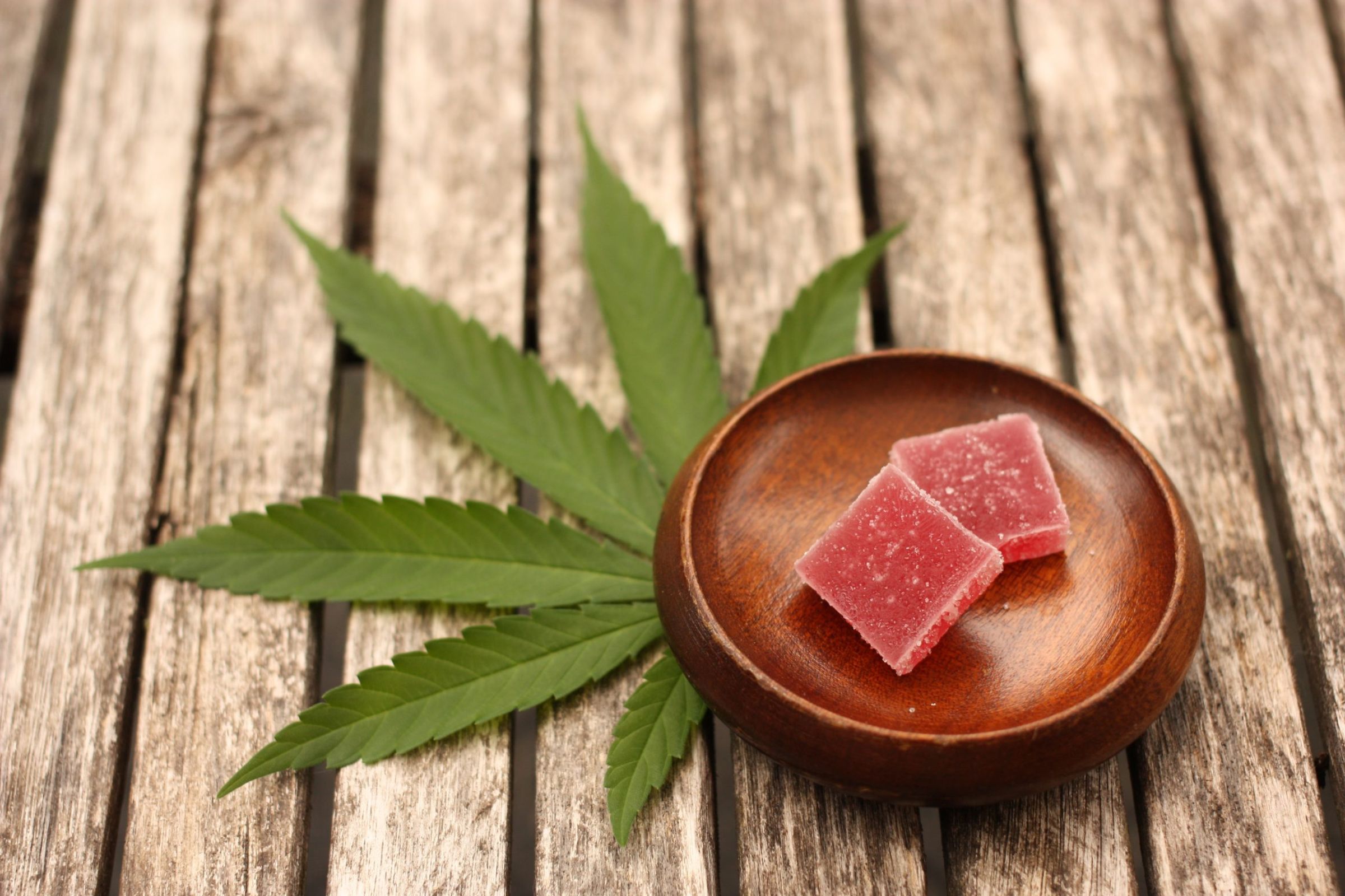 Types Of Marijuana Edibles And Dosage | Terrasana Ohio Dispensary