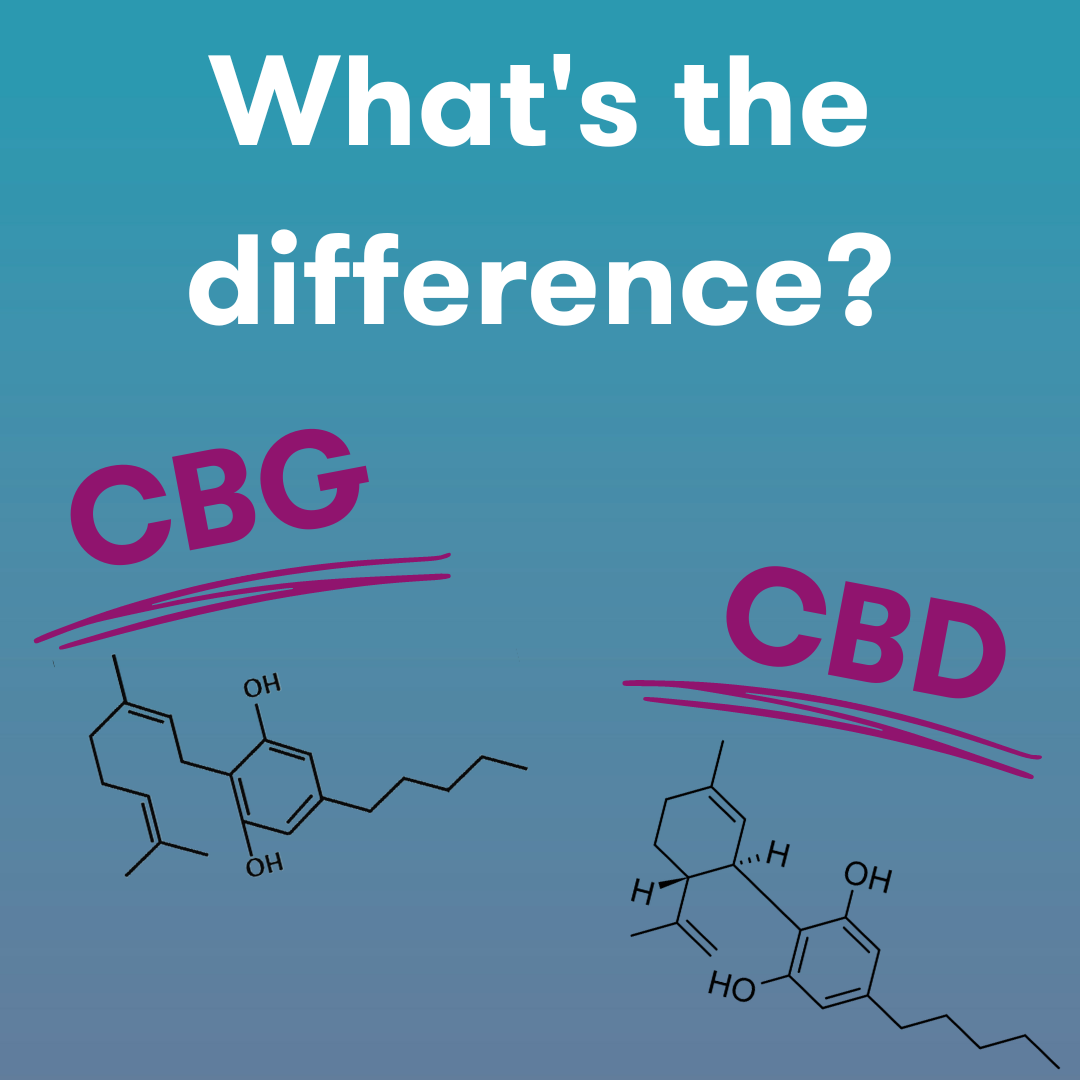 CBD-vs-CBG-Terrasana.png