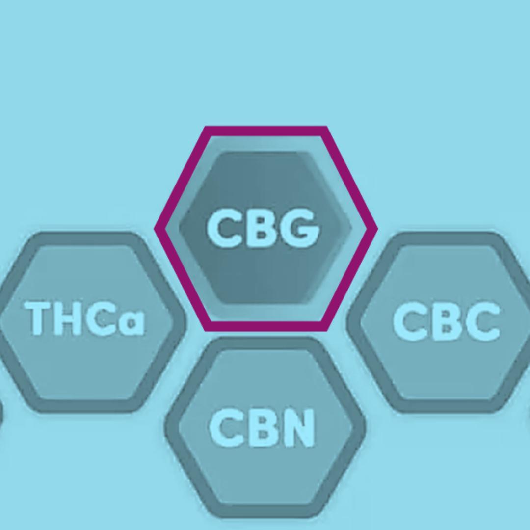 The Benefits of Using CBG for Health Concerns | Terrasana Cannabis